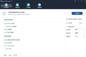 磁盘清理工具Wise Disk Cleaner 11.0.6.820-天韵阁