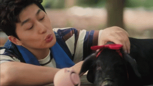 抖音的“金猪”，带不飞短剧-天韵阁