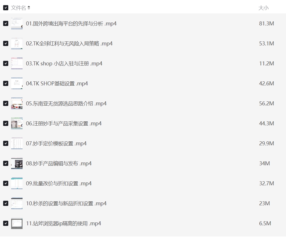 图片[1]-TikTokShop跨境电商0-1实战，手把手教你低成本启动海外市场